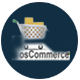 ecommerce development services